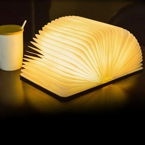 Open A Book Portable Light