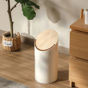 Modern Moheim Swing Bin with Walnut Lid