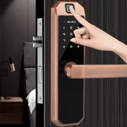 F1 SMART BIOMETRIC DOOR LOCk