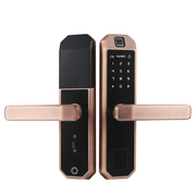 F1 SMART BIOMETRIC DOOR LOCk