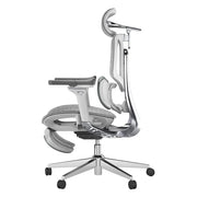 Ergonomic Pro Office Chair