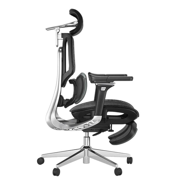 Ergonomic Pro Office Chair