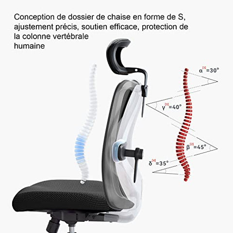 Duramont Ergonomic Office Chair - Adjustable Desk Chair with Lumbar Support and Rollerblade Wheels - High Back Chairs with Breathable Mesh - Thick Seat Cushion, Head, and Arm Rests - Reclines