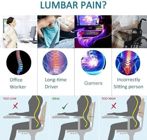 Lumbar Support Pillow for Office Chair Back Support