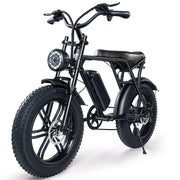 GlideEasy 20-Inch Fat Bike