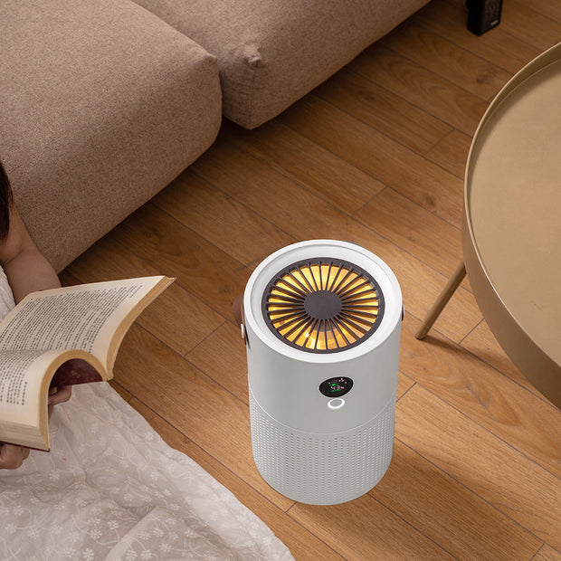 Home Air Purifier with Fan Function