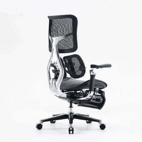 Dreams Excel Multifunctional Ergonomic Chair