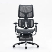 Dreams Excel Multifunctional Ergonomic Chair