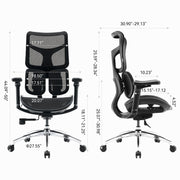 Ergonomic Office Chair with Independent Backrest