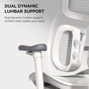 Ergonomic Office Chair with Independent Backrest