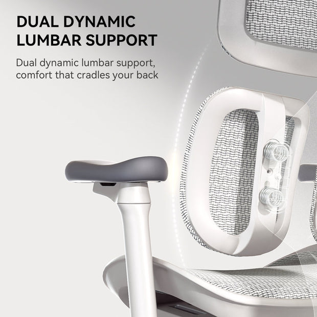 Ergonomic Office Chair with Independent Backrest