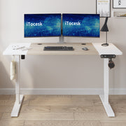 Fanchon Electric Height Adjustable Standing Desk