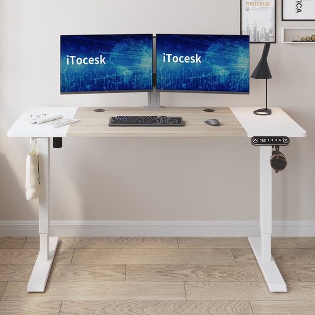 Fanchon Electric Height Adjustable Standing Desk