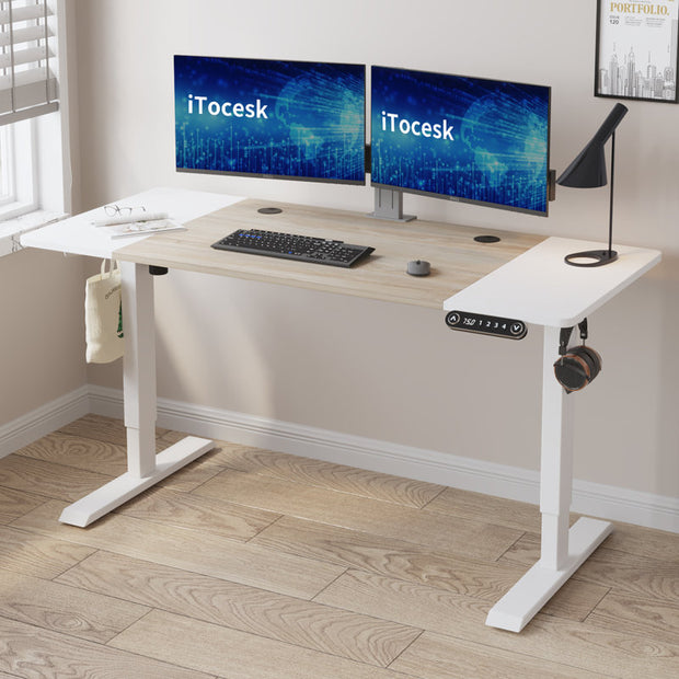 Fanchon Electric Height Adjustable Standing Desk