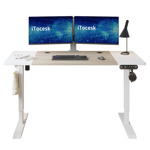 Fanchon Electric Height Adjustable Standing Desk