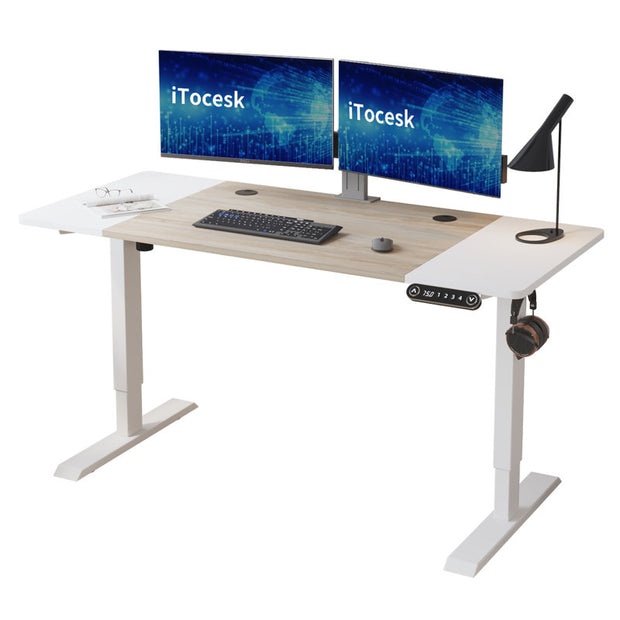 Fanchon Electric Height Adjustable Standing Desk