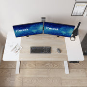 Fanchon Electric Height Adjustable Standing Desk