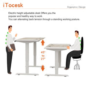 Fanchon Electric Height Adjustable Standing Desk