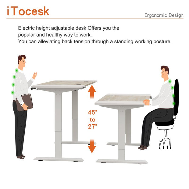 Fanchon Electric Height Adjustable Standing Desk