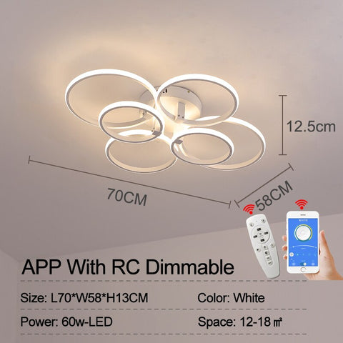 Smart Ring Ceiling Light