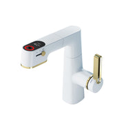 Smart Led Display Temperature-Controlled Flow Pro Faucet