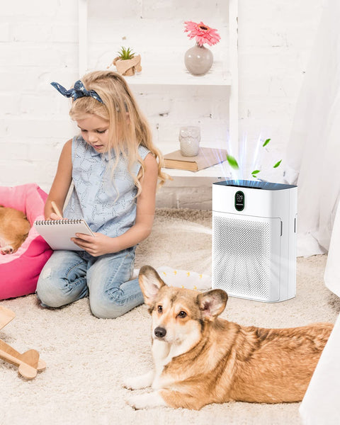 Smart Air Purifier