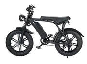 GlideEasy 20-Inch Fat Bike