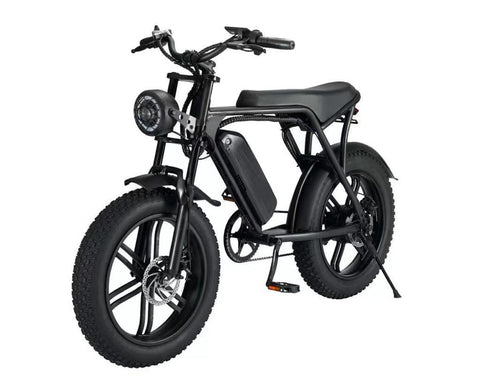 GlideEasy 20-Inch Fat Bike