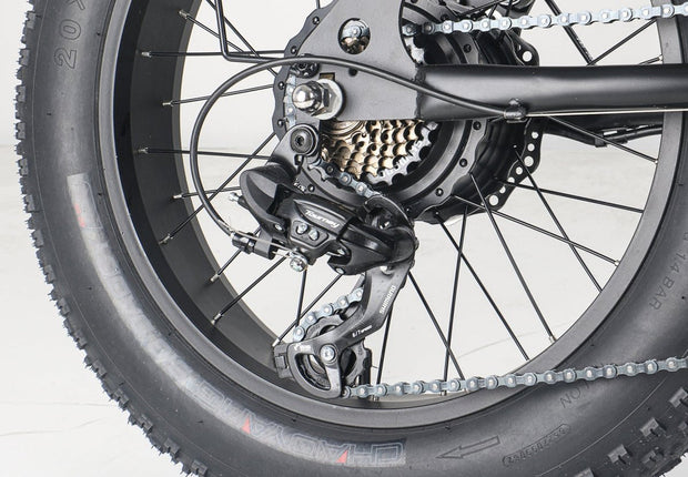 GlideEasy 20-Inch Fat Bike