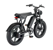 GlideEasy 20-Inch Fat Bike