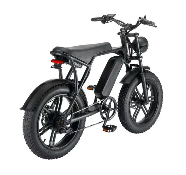 GlideEasy 20-Inch Fat Bike