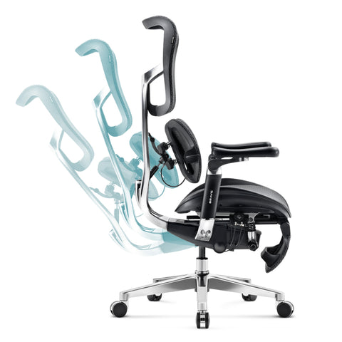 Dreams Excel Multifunctional Ergonomic Chair