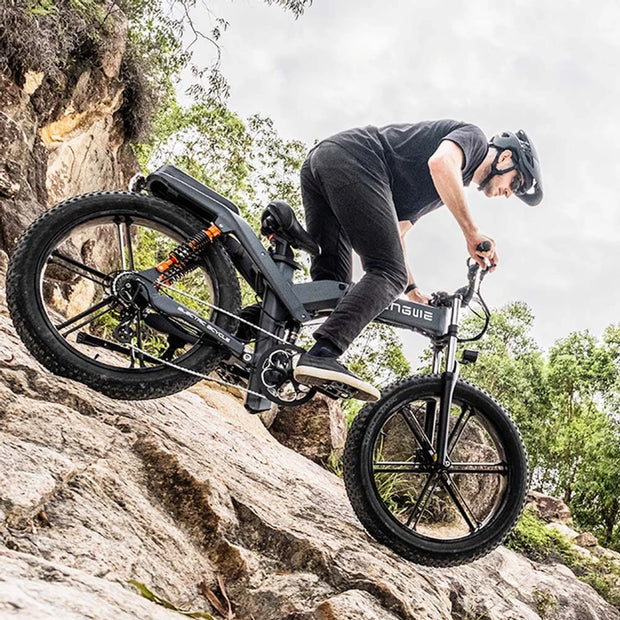 ENGWE X20 Electric Bike