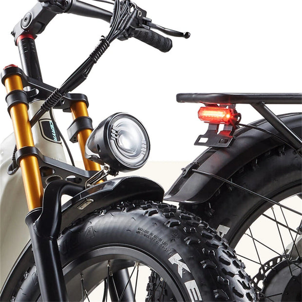 CEAYA A20pro Electric Bike 48V 20Ah 500W 20 Gray