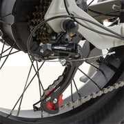 CEAYA A20pro Electric Bike 48V 20Ah 500W 20 Gray