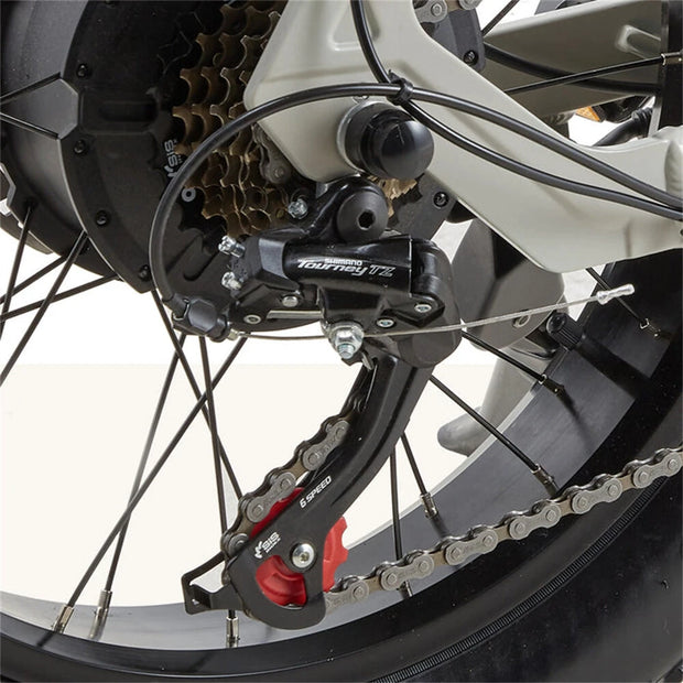 CEAYA A20pro Electric Bike 48V 20Ah 500W 20 Gray