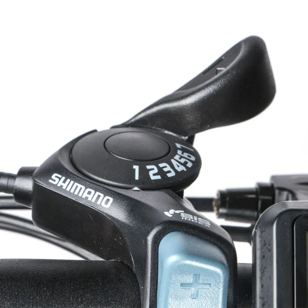 SAMEBIKE 20LVXD30 Electric Bike 10.4AH 48V 350