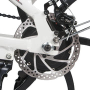SAMEBIKE 20LVXD30 Electric Bike 10.4AH 48V 350