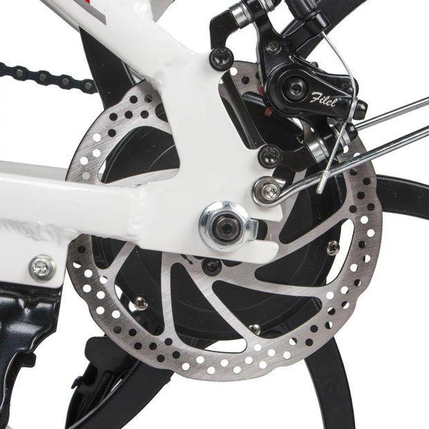 SAMEBIKE 20LVXD30 Electric Bike 10.4AH 48V 350