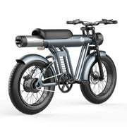 YYG ZM21 Elektrische fiets 48V 20AH batterij 1200W