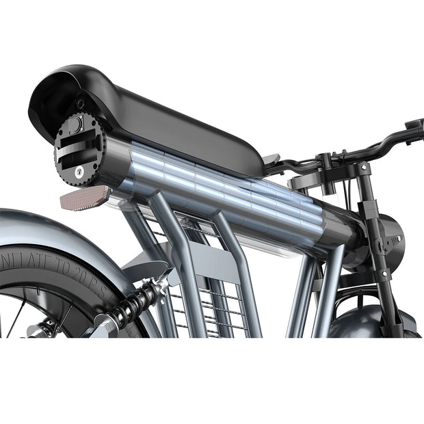 YYG ZM21 Elektrische fiets 48V 20AH batterij 1200W