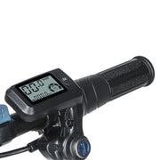 SAMEBIKE 20LVXD30 Electric Bike 10.4AH 48V 350