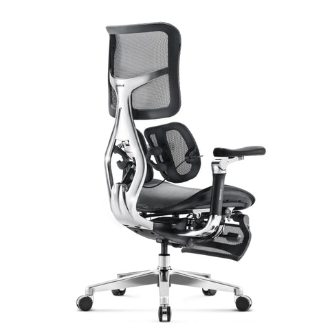 Dreams Excel Multifunctional Ergonomic Chair